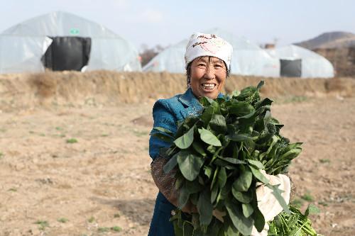 洪河村群眾的心里話：脫貧致富，計(jì)劃得先行