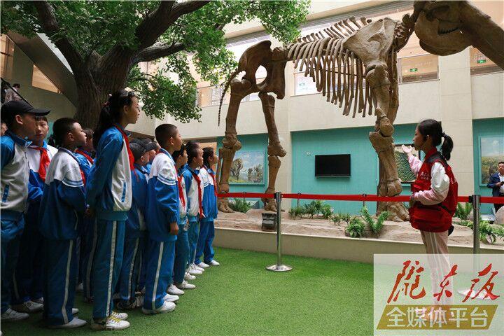 【第一眼】慶陽市博物館開展多項(xiàng)活動(dòng)慶?！?·18國(guó)際博物館日”