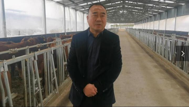 【脫貧攻堅我來見證】項祖地：讓“早勝?！逼放谱叱龈拭C  走向全國