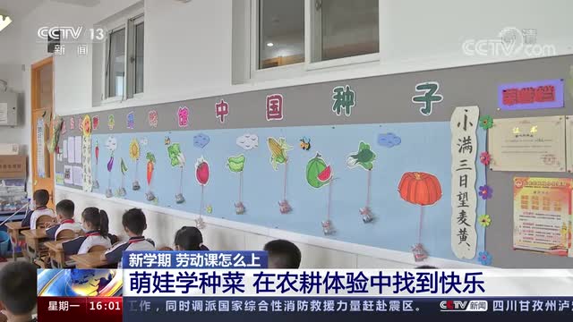 新學(xué)期，勞動課怎么上？央視《新聞直播間》關(guān)注北師大慶陽附校農(nóng)耕體驗課