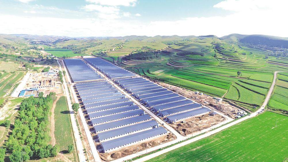 環(huán)縣雙廟20萬只肉羊育肥場俯瞰，