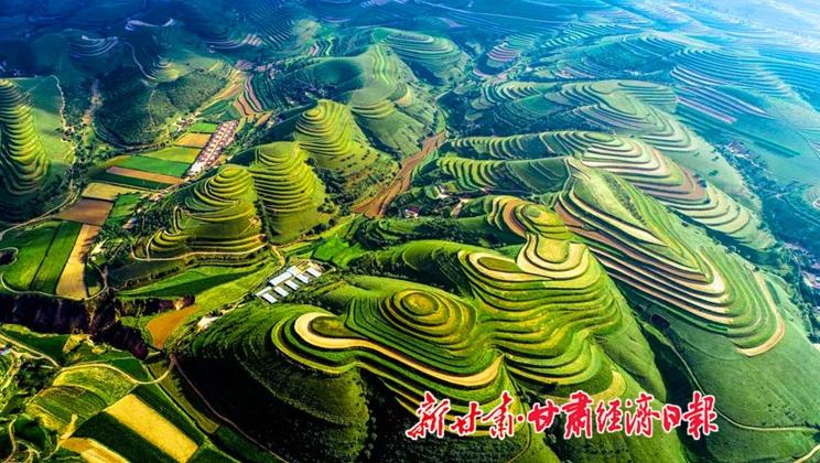 “羊”名立萬正當時——環(huán)縣念羊經(jīng)、興羊業(yè)、發(fā)羊財促進鄉(xiāng)村振興發(fā)展