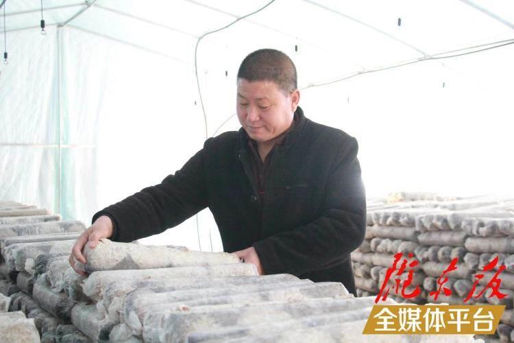 西峰區(qū)后官寨鎮(zhèn)司官寨村食用菌基地，工作人員在整理菌棒。本報(bào)記者 南力 攝
