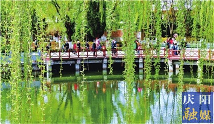 一點(diǎn)慶陽 | 忽然春來（康健）
