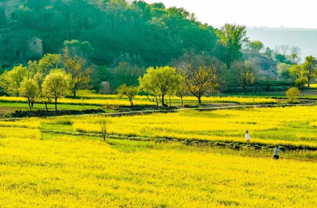 來(lái)慶陽(yáng)，一起“上春山”
