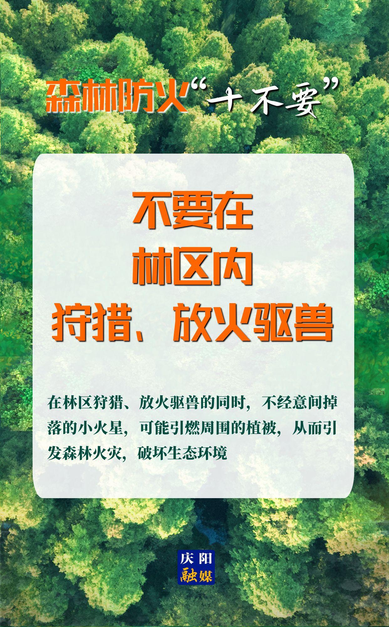 【微海報】森林防火“十不要”⑨丨不要在林區(qū)內狩獵、放火驅獸