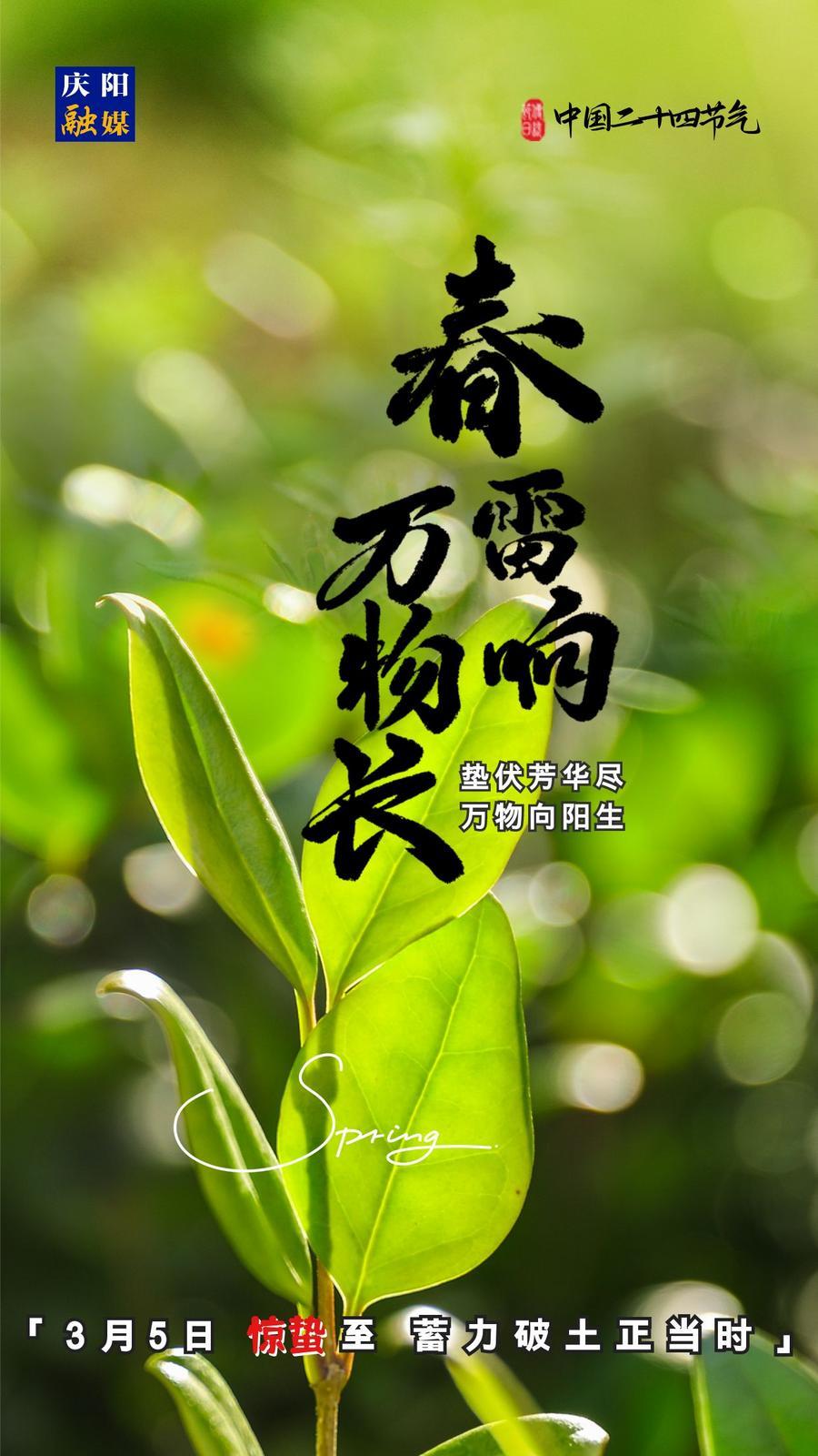【微海報(bào)】二十四節(jié)氣丨驚蟄至，蓄力破土正當(dāng)時(shí)