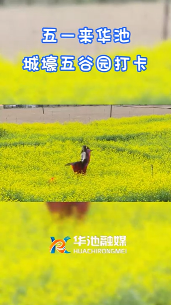 【五一游慶陽(yáng)】歡迎來(lái)華池城壕五谷園打卡！！