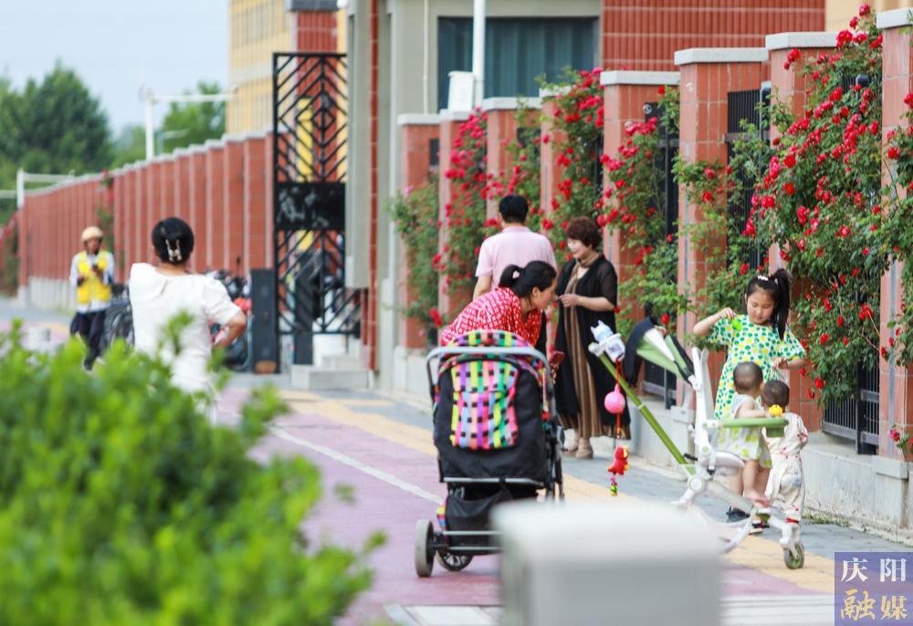 【攝影報道】薔薇花開！邂逅夏日的浪漫