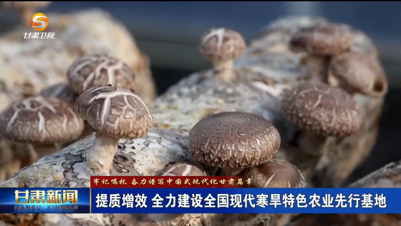 （牢記囑托 奮力譜寫中國式現(xiàn)代化甘肅篇章）提質增效 全力建設全國現(xiàn)代寒旱特色農業(yè)先行基地