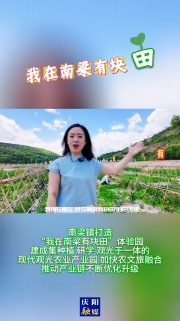 南梁鎮(zhèn)打造“我在南梁有塊田”體驗園，建成集種植、研學、觀光于一體的現代觀光農業(yè)產業(yè)園，加快農文旅融合，推動產業(yè)鏈不斷優(yōu)化升級