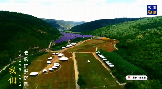 讓我們心向荒野，一起追風自由