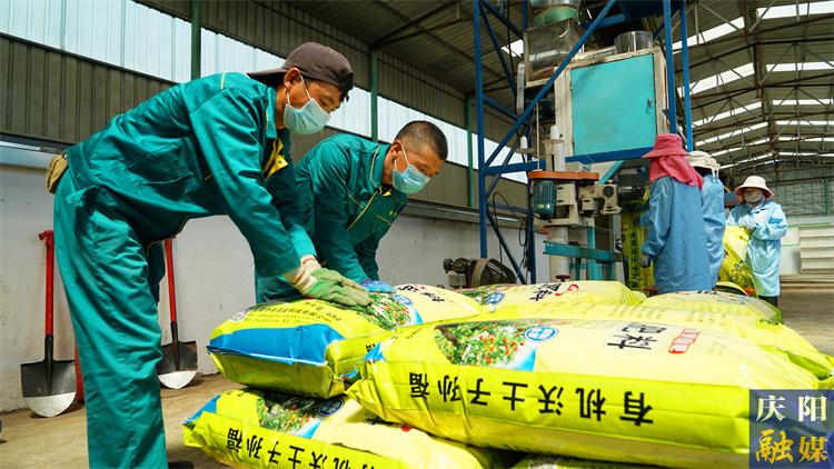 今年以來完成復(fù)種農(nóng)作物105.37萬畝——慶陽市推廣復(fù)種輪作模式　拓寬增糧增效空間